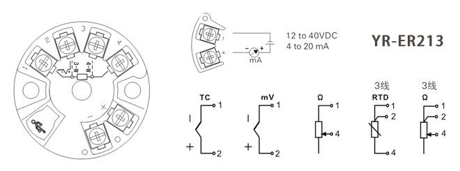 YR-ER213智能溫度變送器接線圖