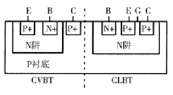CVBT和CLBT的剖面图