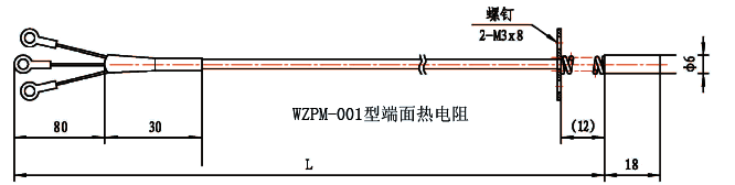 WZPM-001端面铂电阻结构示意图