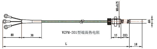 WZPM-201端面铂电阻结构示意图