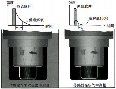 荧光法溶解氧传感器系统测量原理
