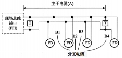 主干电缆与分支电缆架构