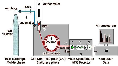 气相色谱-质谱仪简图