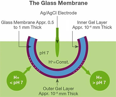 玻璃膜pH电极工作原理